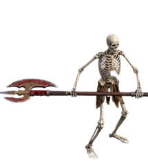 腐蝕的 骷髏槍兵.png