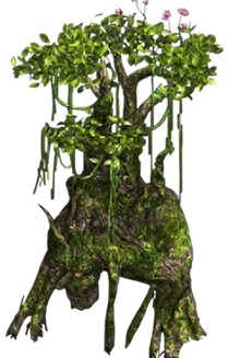 提卡爾 艾庫艾托-Photoroom.png